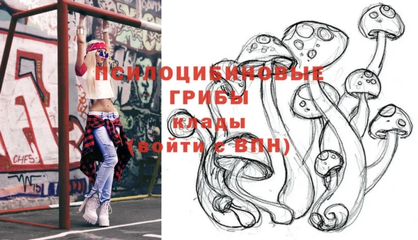 стаф Волосово