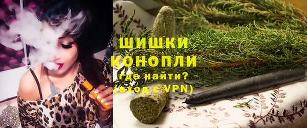 стаф Волосово
