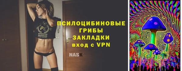 твердый Володарск